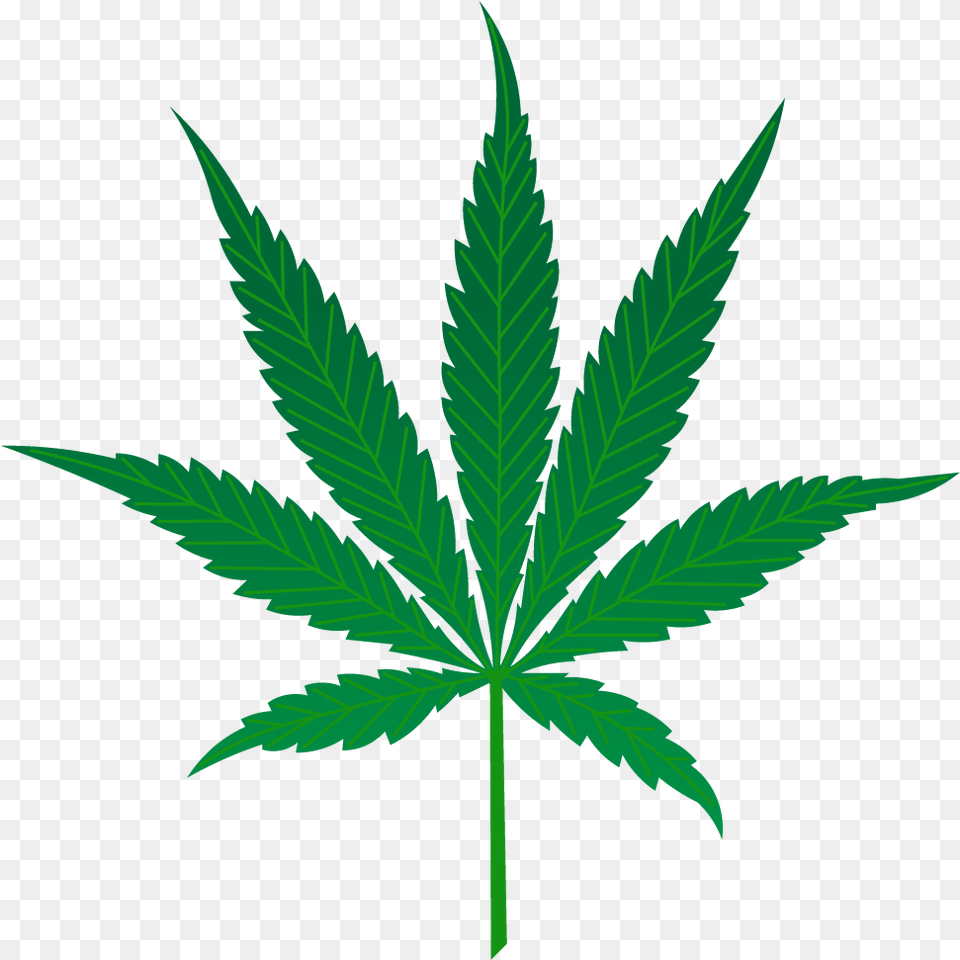 Marijuana Leaf Marijuana Leaf Vector, Plant, Weed, Hemp Free Transparent Png