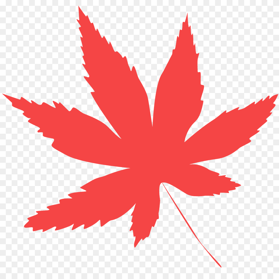 Marijuana Leaf Silhouette, Plant, Maple Leaf, Tree, Animal Png Image