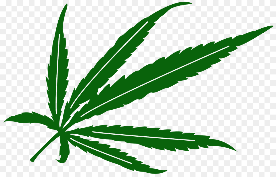 Marijuana Leaf Silhouette, Plant, Weed, Hemp, Animal Png