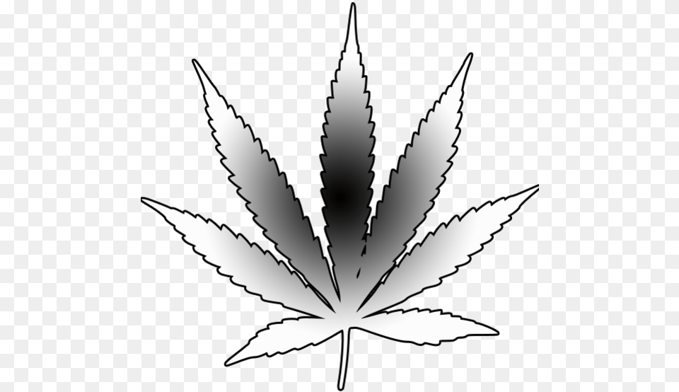 Marijuana Leaf Silhouette Pot Leaf Tattoo Outline, Plant, Weed, Herbal, Herbs Free Transparent Png