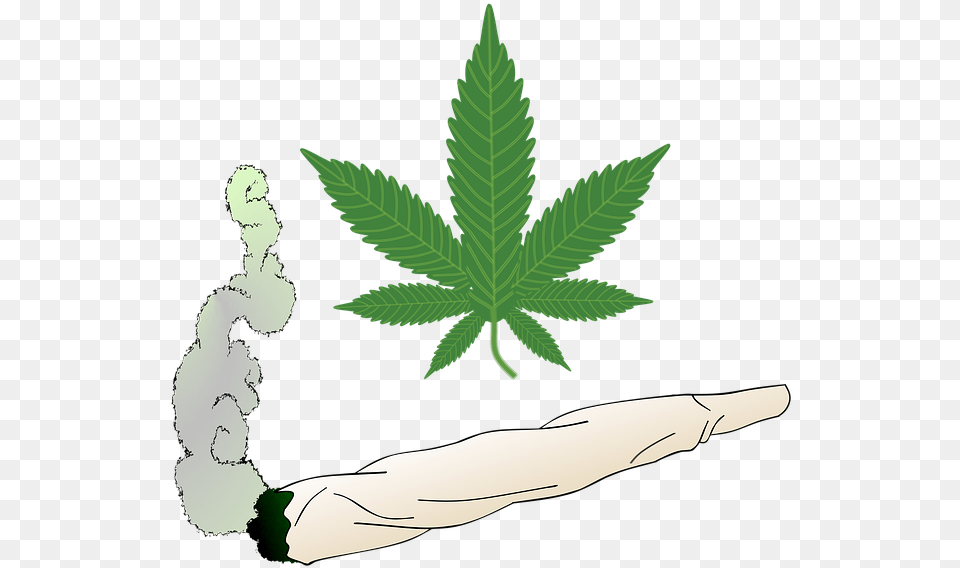 Marijuana Leaf Stencil, Plant, Weed, Herbal, Herbs Free Png