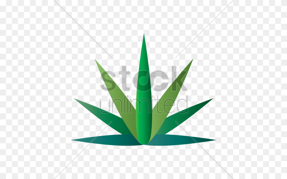 Marijuana Leaf Vector Free Transparent Png