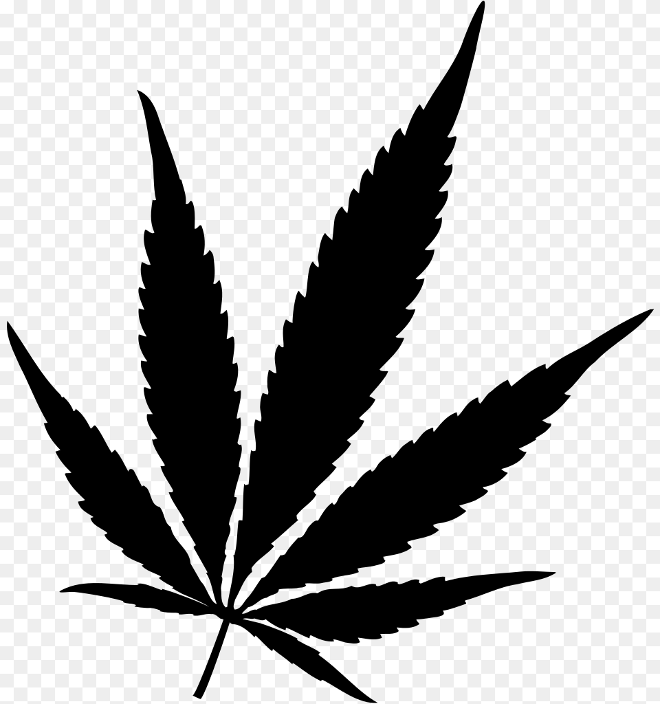 Marijuana Leaf Vector For Download On Mbtskoudsalg Pot Leaf, Gray Free Png