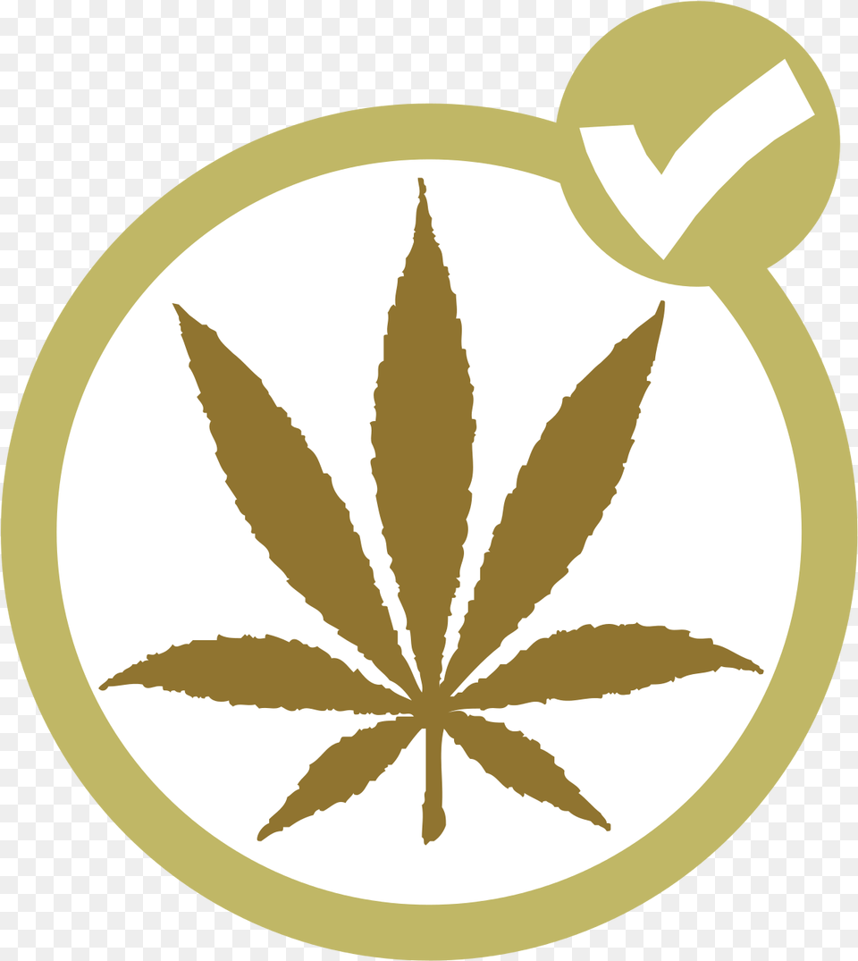 Marijuana Party Of Canada, Leaf, Plant, Weed, Herbal Free Png Download