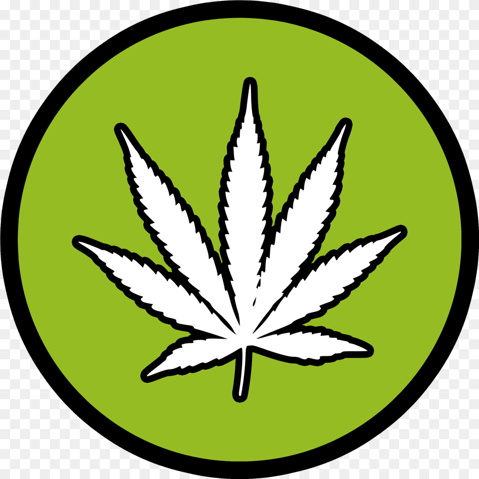Marijuana Pot Leaf Car Or Truck Window Hemp, Plant, Weed, Herbal, Herbs Png Image