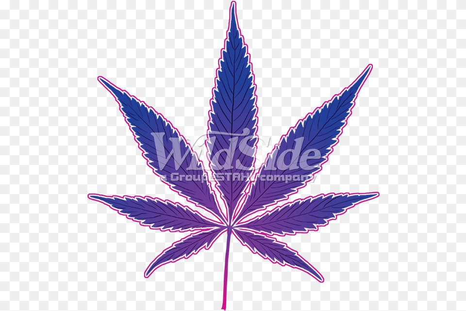 Marijuana Pot Leaf Download Marijuana Black And White, Plant, Weed Png