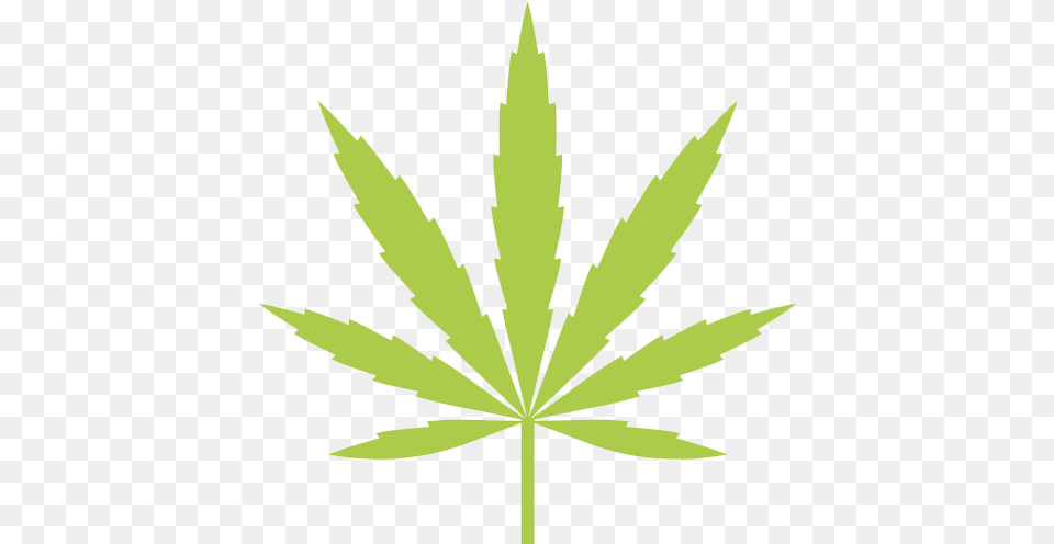 Marijuana Stocks In January Canada Flag Marijuanna Leaf, Plant, Weed, Hemp Png Image