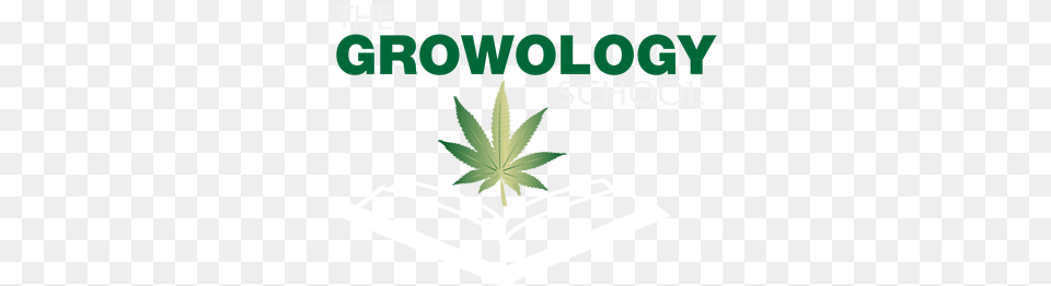 Marijuana Training School Learn To Grow Marijuana Cannabis, Leaf, Plant, Herbal, Herbs Png Image