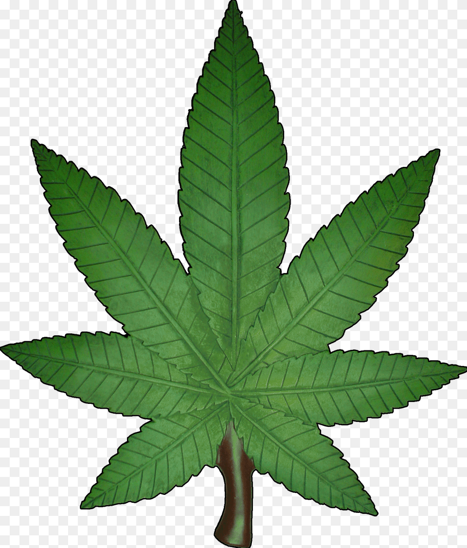 Marijuana Weed Cannabis Leaf Clipart Plant, Tree Png Image