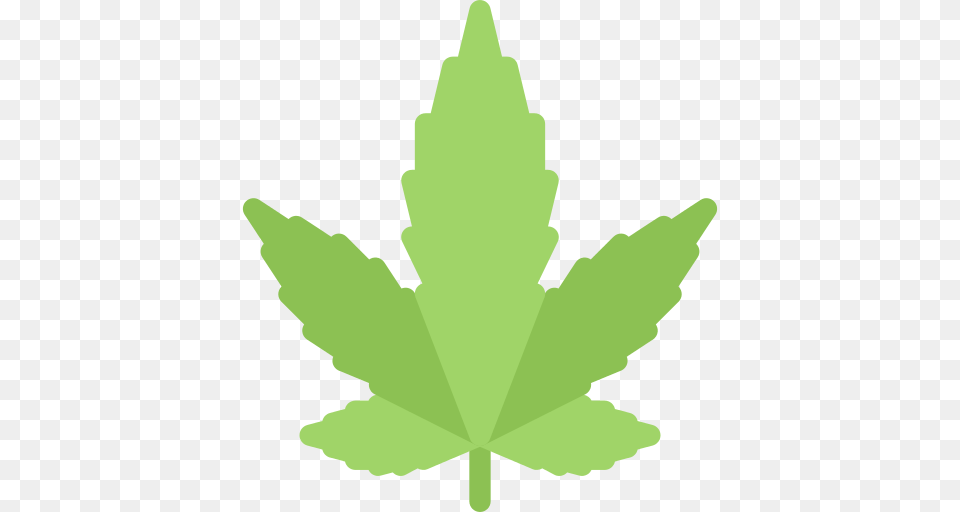 Marijuana Weed Icon, Leaf, Plant, Tree, Baby Free Png