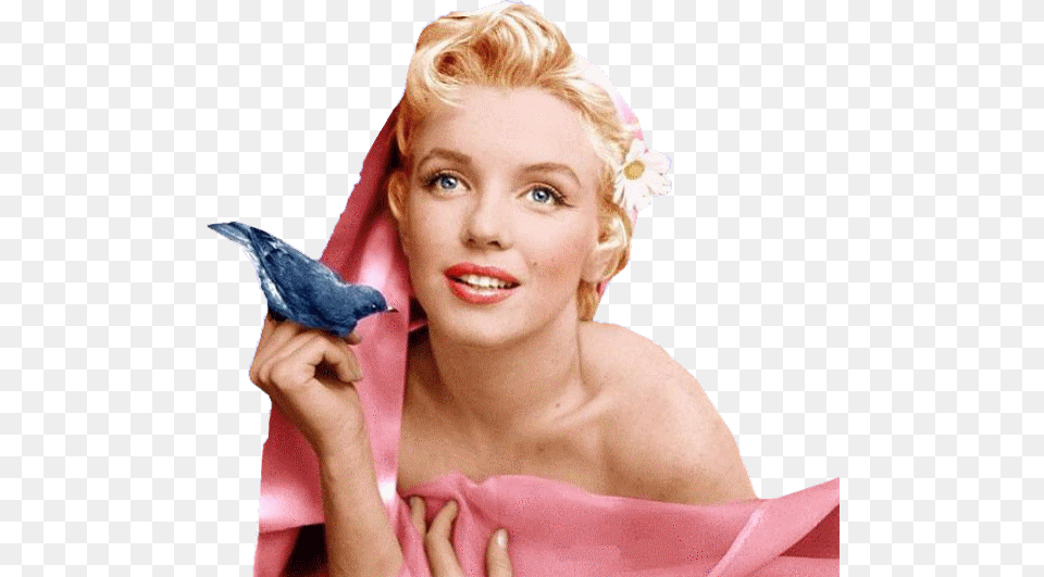 Marilyn Monroe, Portrait, Photography, Person, Head Free Png