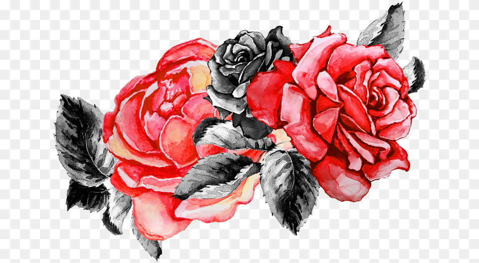 Marilyn Monroe Image Flower Overlay, Plant, Rose, Art, Carnation Free Png Download