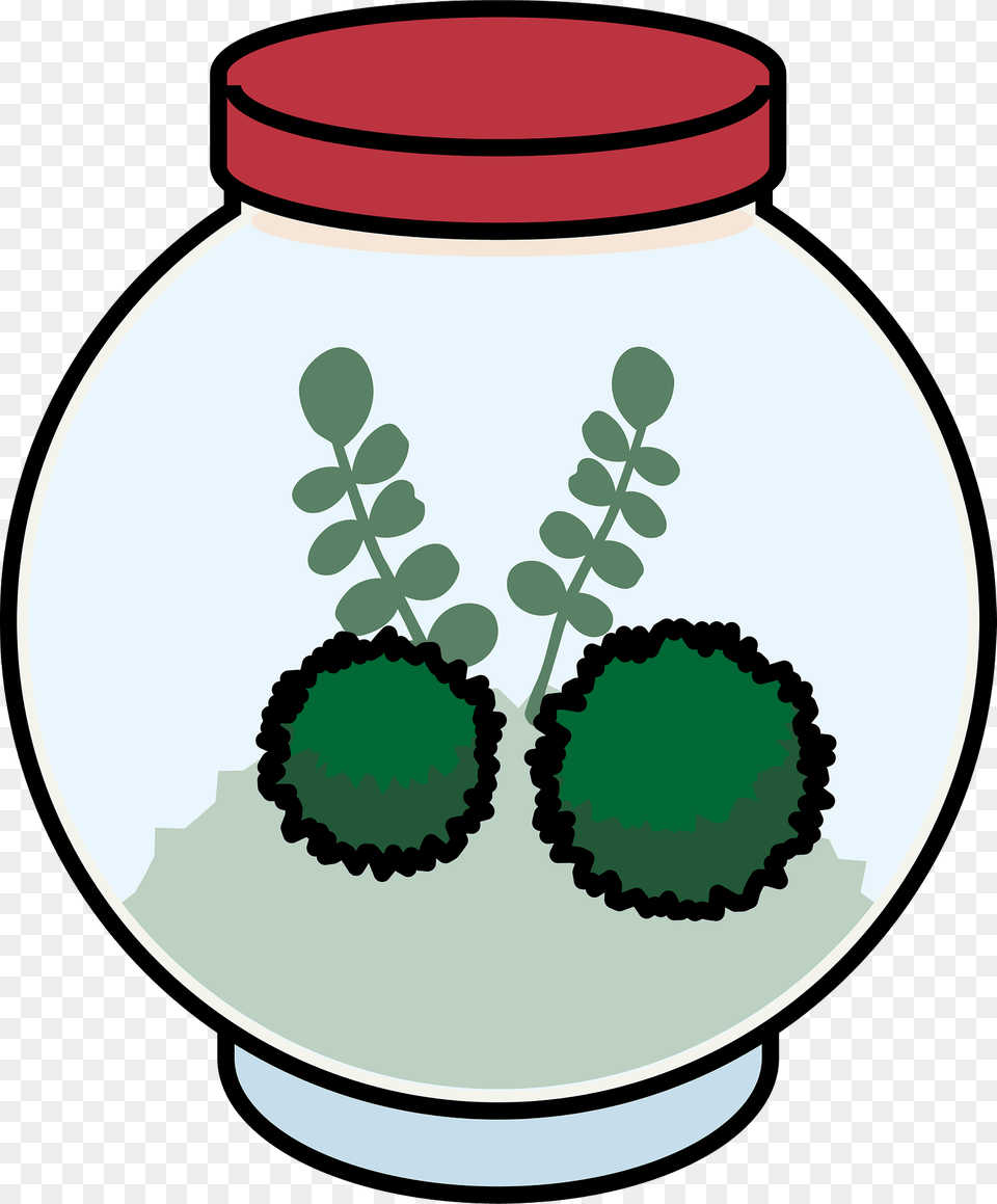 Marimo Moss Ball Clipart, Herbal, Herbs, Jar, Plant Png Image