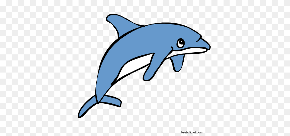 Marine Animals Ocean Animals Or Under Water Animals Clip Art, Animal, Dolphin, Mammal, Sea Life Png Image