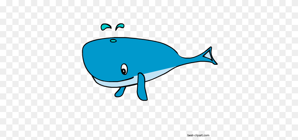 Marine Animals Ocean Animals Or Under Water Animals Clip Art, Animal, Mammal, Sea Life, Whale Free Png
