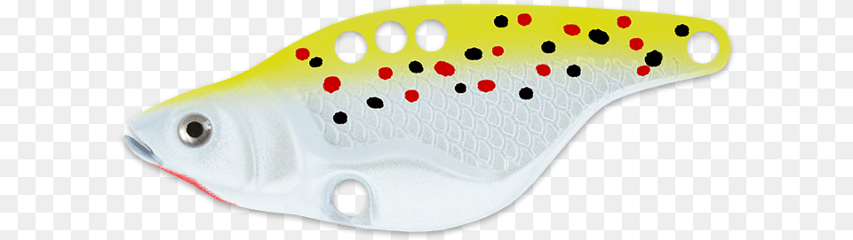 Marine Biology, Animal, Fish, Fishing Lure, Sea Life Png Image