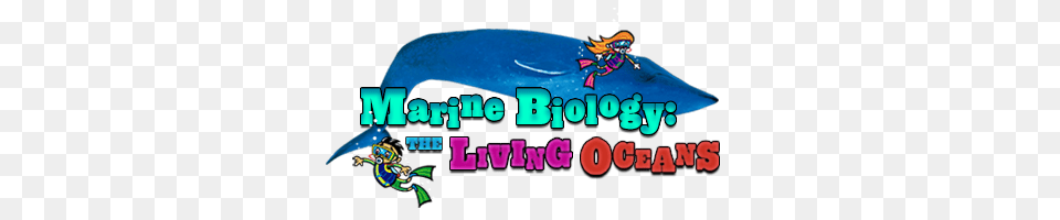 Marine Biology For Kids Ology Amnh Free Transparent Png