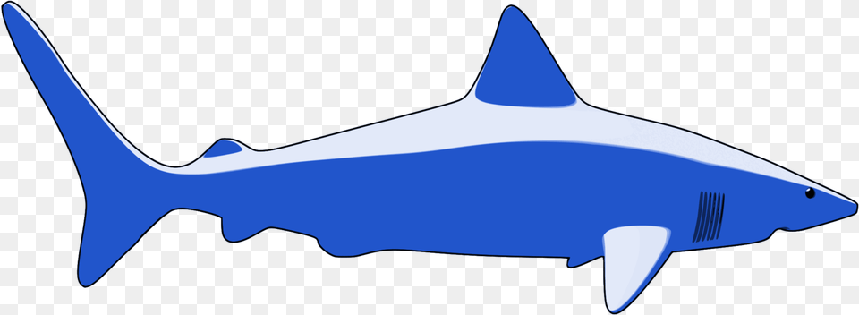 Marine Biologysharkorganism Sharks, Animal, Fish, Sea Life, Shark Free Transparent Png