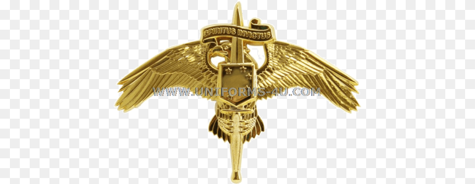 Marine Corps Raider Badge, Logo, Symbol, Bronze, Accessories Png