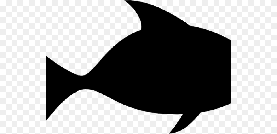 Marine Fish Clipart Big Fish Cartilaginous Fish, Animal, Sea Life, Bow, Tuna Free Png