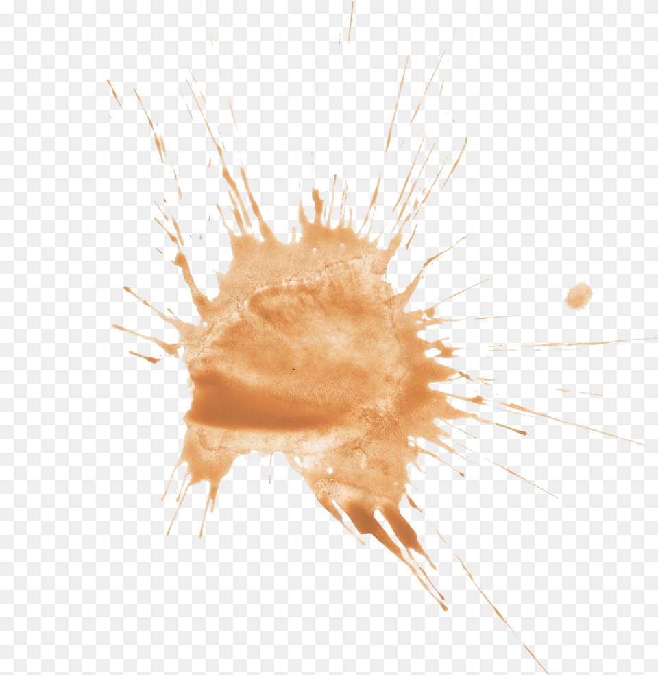 Marine Invertebrates, Stain, Outdoors, Flare, Light Png Image