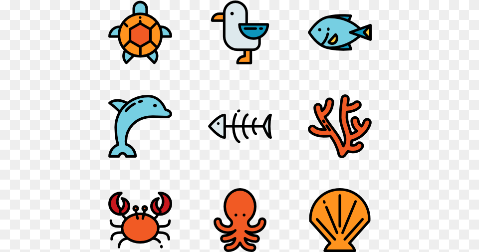 Marine Life, Animal, Bird, Baby, Person Free Png Download