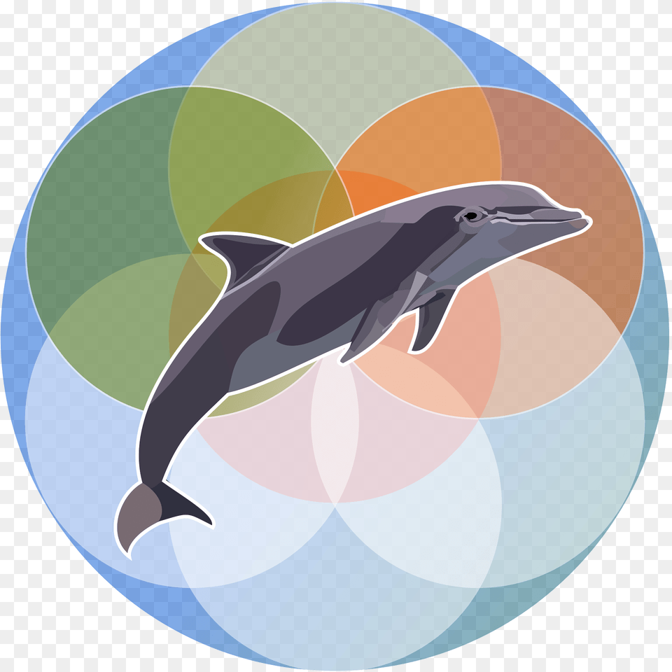 Marine Mammal Clipart, Animal, Dolphin, Sea Life, Fish Free Png