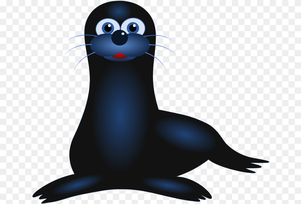 Marine Mammal Fur Seal Flightless Bird Seal Animated, Animal, Sea Life, Sea Lion, Rat Png