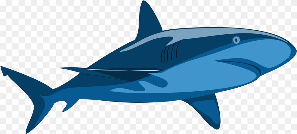 Marine Mammalsharkwhales Dolphins And Porpoises Vector Clip Art Shark, Animal, Fish, Sea Life Png