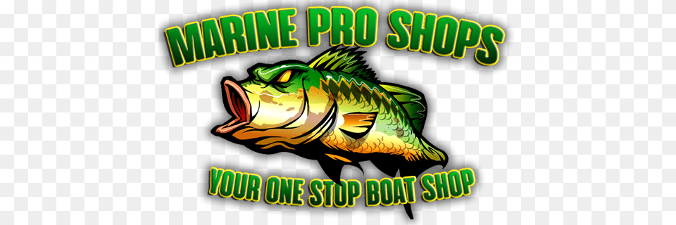 Marine Pro Shops, Animal, Sea Life, Fish Png
