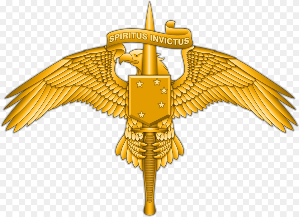 Marine Raiders To Receive New Badge U2014 Raider Recruiting Marsoc Badge, Logo, Symbol, Emblem, Animal Png