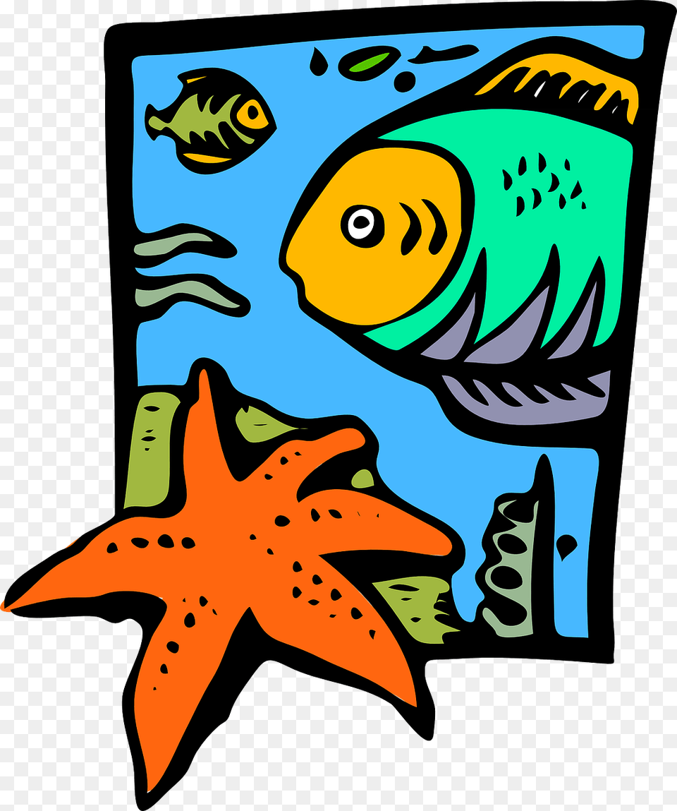 Marine Science Clipart, Animal, Sea Life, Face, Head Png