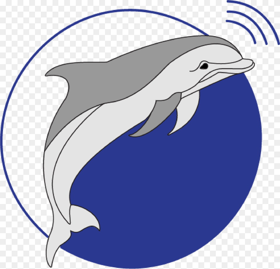 Marine Sonic Technology Marine, Animal, Dolphin, Mammal, Sea Life Free Png