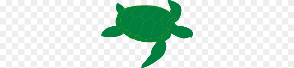 Marine Turtle Clip Art, Animal, Reptile, Sea Life, Sea Turtle Free Transparent Png