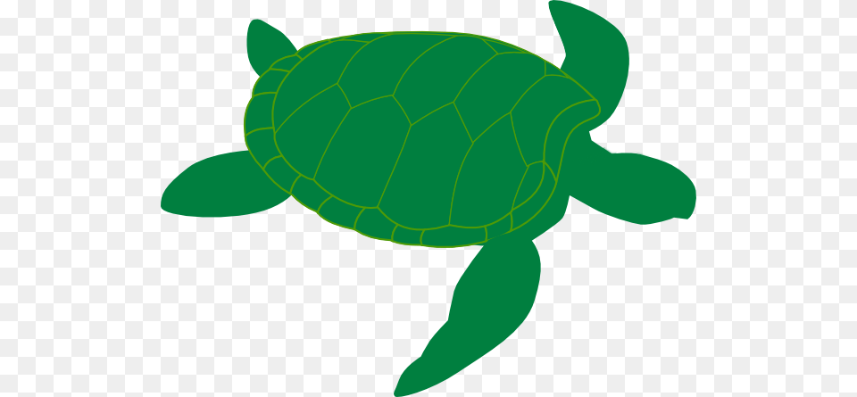 Marine Turtle Clip Art, Animal, Reptile, Sea Life, Sea Turtle Free Png