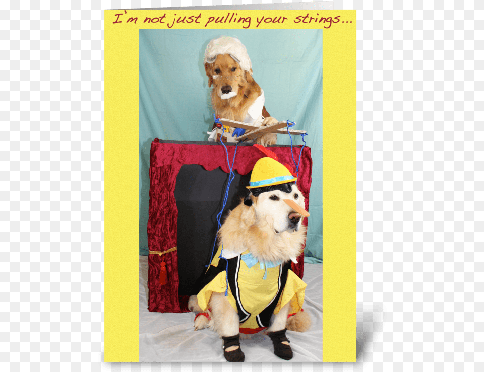 Marionette Puppet Show Birthday Greeting Card Costume, Vest, Lifejacket, Clothing, Hat Png