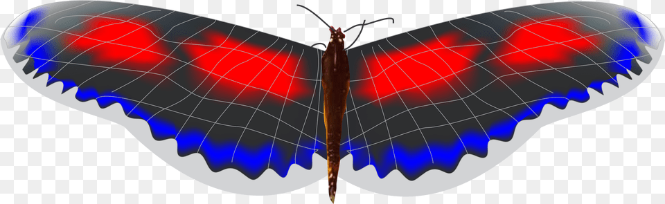 Mariposa, Animal, Butterfly, Insect, Invertebrate Free Png