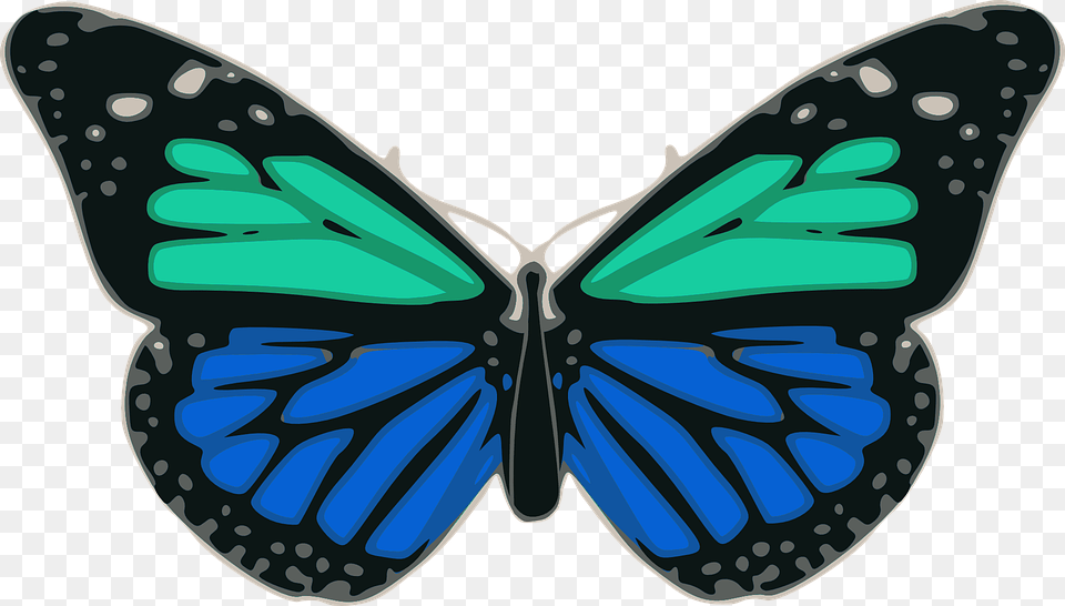 Mariposa Azul Turquesa Colores Alas Insectos Turquoise, Animal, Butterfly, Insect, Invertebrate Free Transparent Png