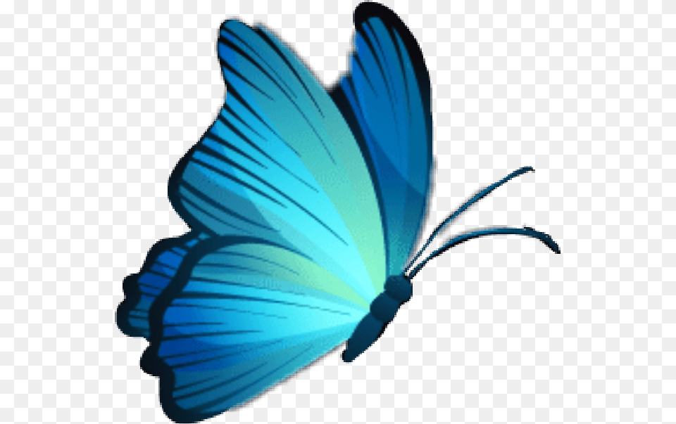 Mariposa Butterfly Celeste Azul Blue Skyblue Mariposas Celestes, Animal, Insect, Invertebrate, Person Png Image