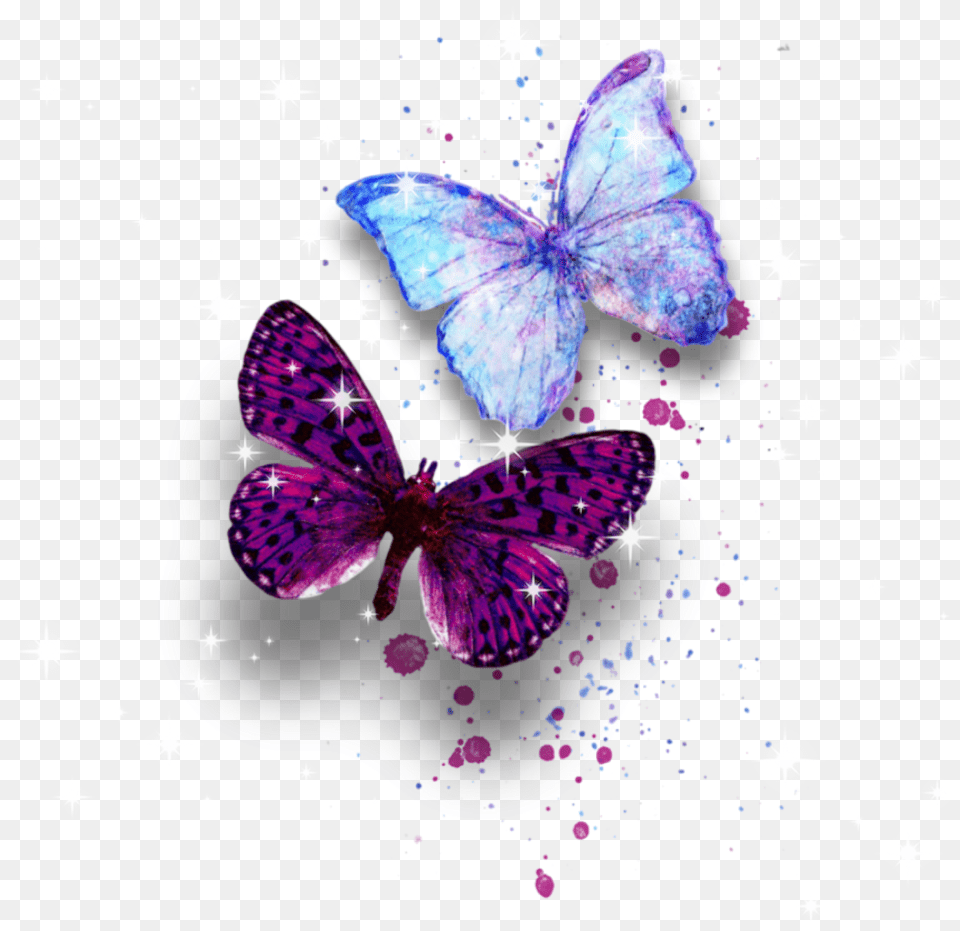 Mariposa De Background, Flower, Petal, Plant, Purple Free Transparent Png