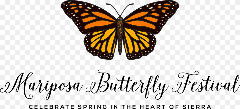 Mariposa Mariposa Butterfly, Animal, Insect, Invertebrate, Monarch Png