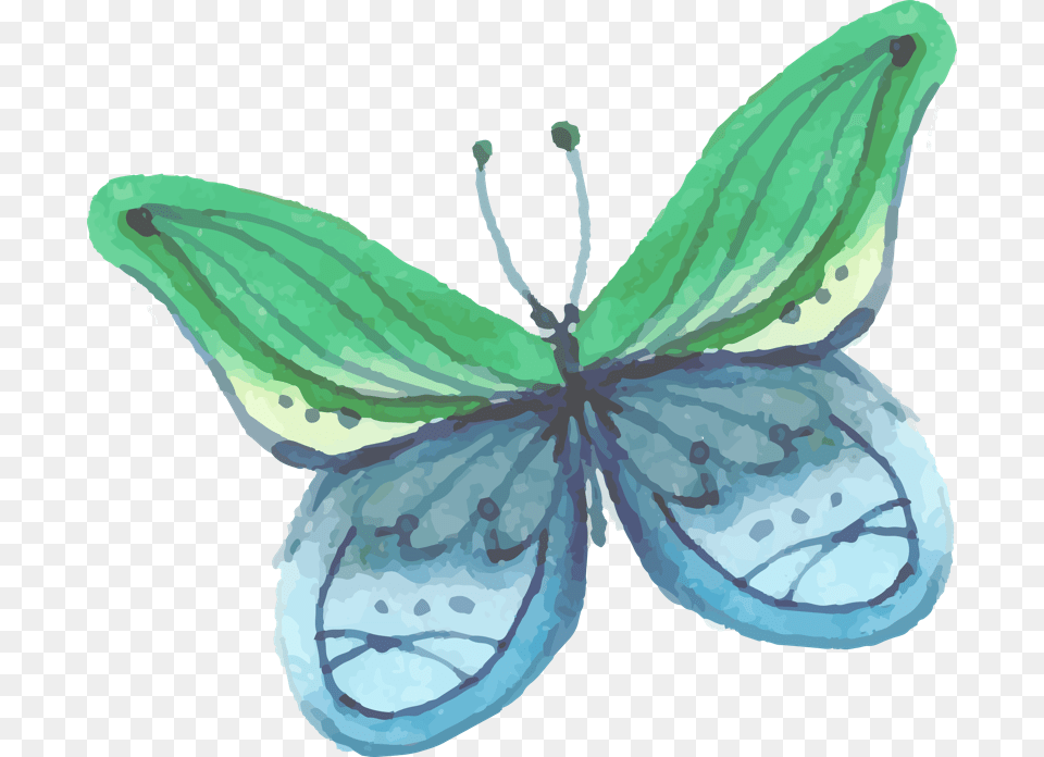 Mariposa Pintura Download Poema Saudades De Mim Augusto Cury, Leaf, Plant, Flower, Animal Free Png