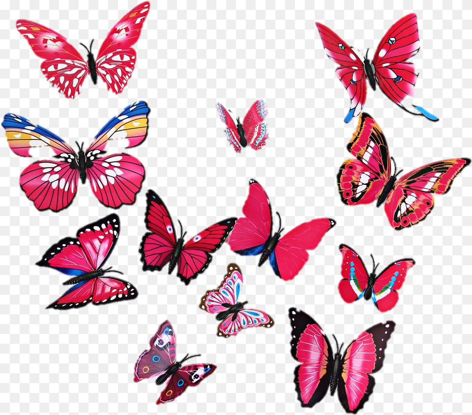 Mariposa Wall Decal, Animal, Butterfly, Insect, Invertebrate Free Transparent Png