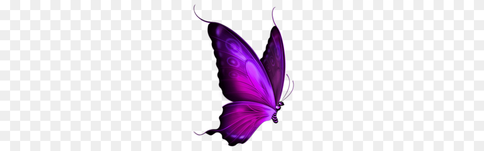 Mariposas, Art, Graphics, Purple Png