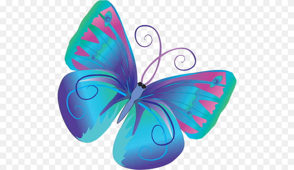 Mariposas Butterfly Butterfly Clip Art, Graphics, Floral Design, Pattern, Animal Free Png Download