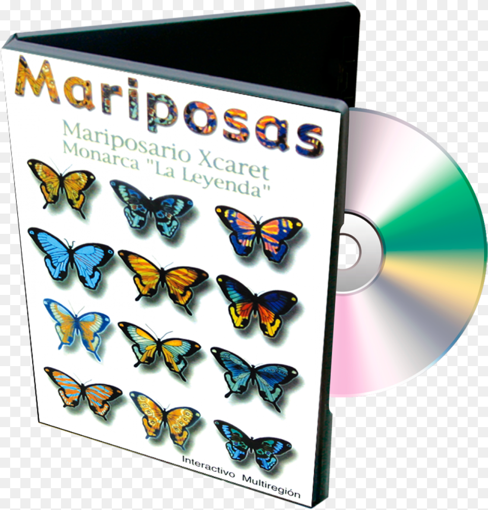 Mariposas Clasificacion De Mariposas, Disk, Dvd Free Transparent Png