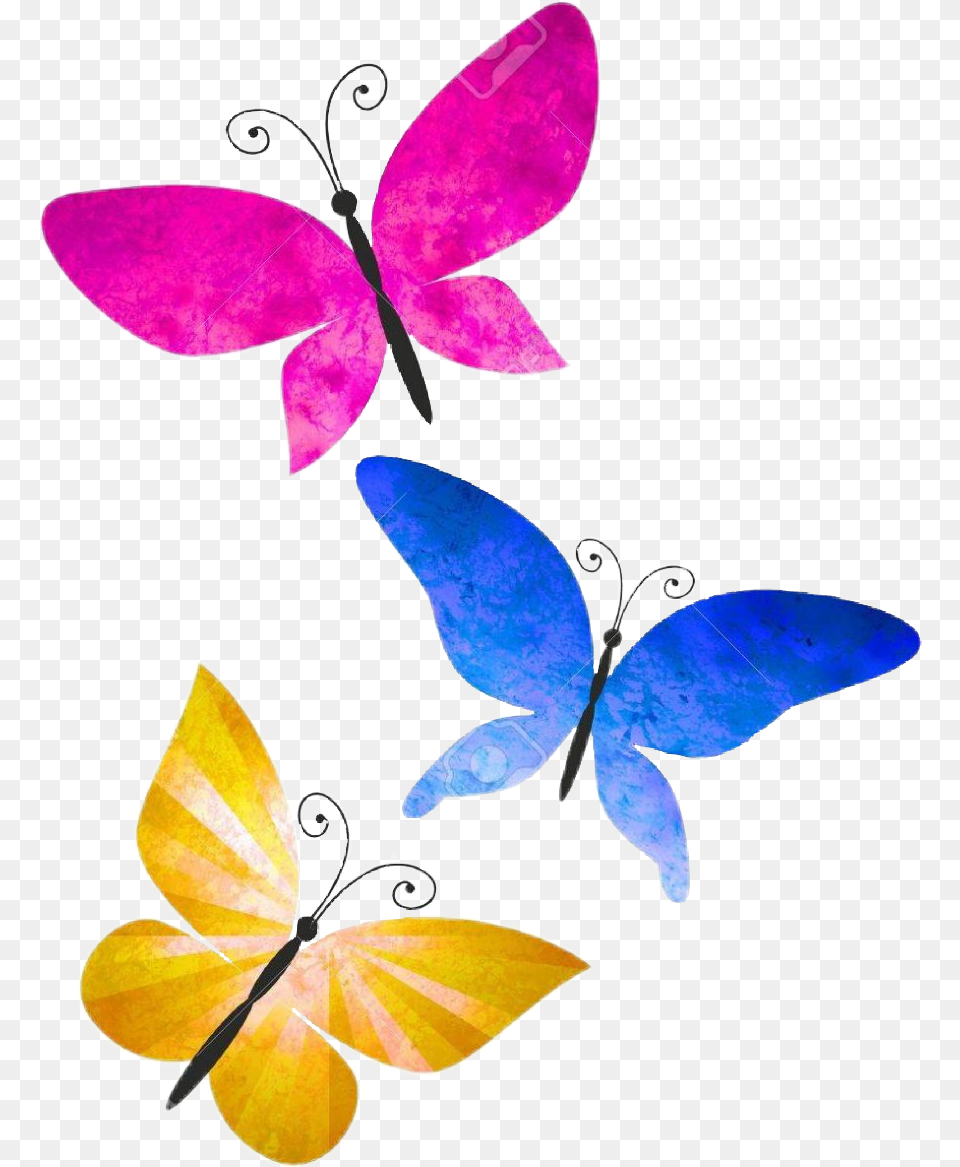 Mariposas Colores Butterfly, Graphics, Art, Floral Design, Pattern Png