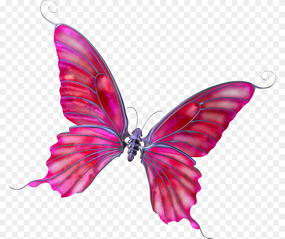 Mariposas De Dibujo Fondo Transparente, Accessories, Animal, Insect, Invertebrate Free Transparent Png