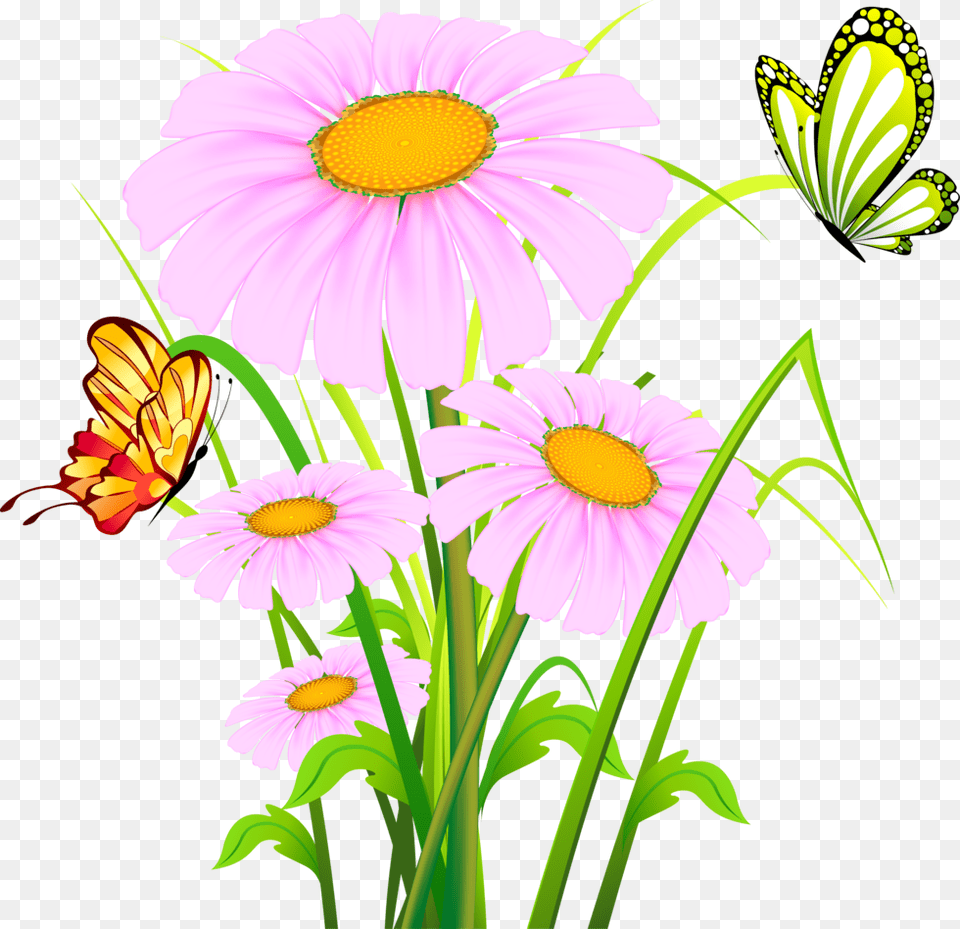 Mariposas En Flores Animadas Clipart Download Beautiful Flower Background, Daisy, Plant Free Transparent Png
