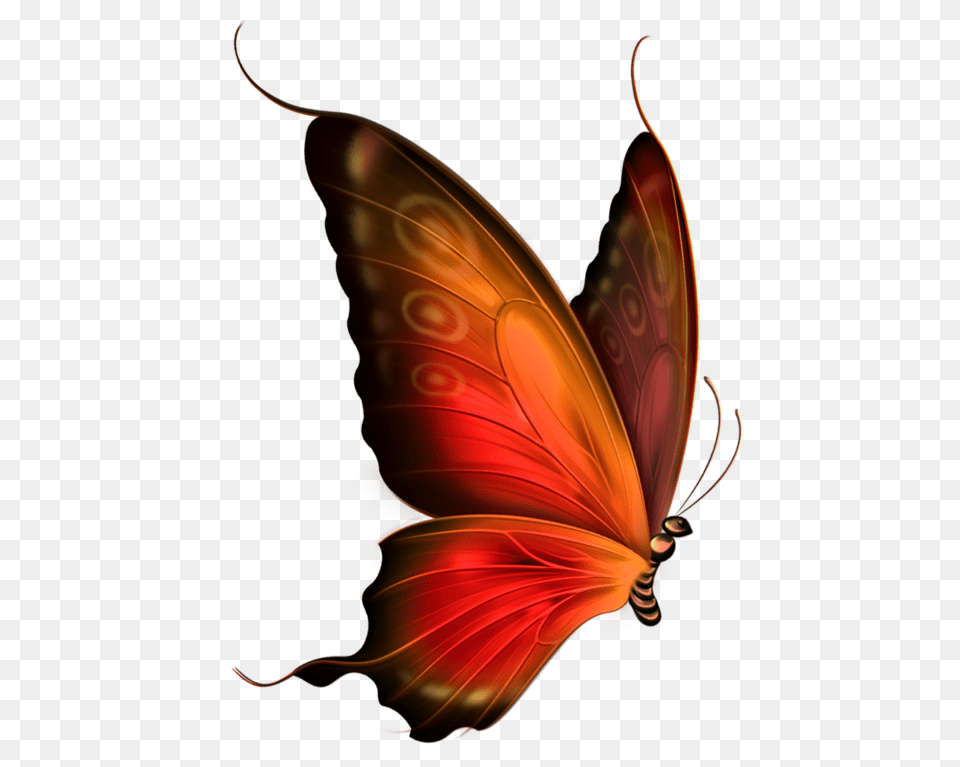Mariposas Para Dibujar A Lapiz, Pattern, Accessories, Leaf, Plant Free Transparent Png